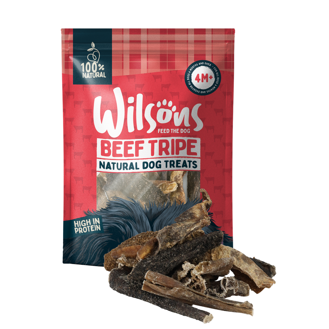 Photo inspiration: Fresh Look at Natural Dog Food Page 3