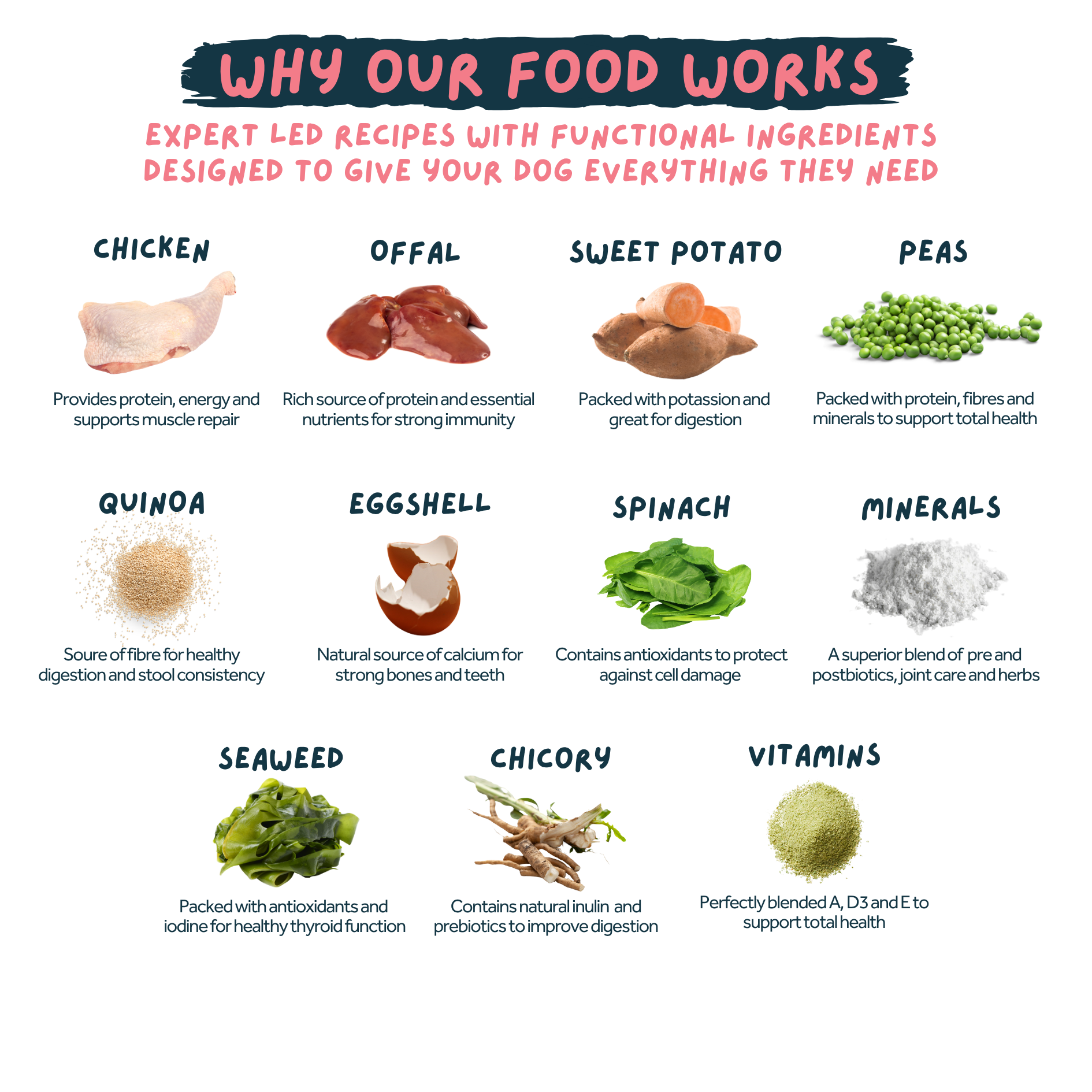 An infographic titled 'WHY OUR FOOD WORKS' showing various dog supplement ingredients such as chicken, offal, sweet potato, peas, quinoa, eggshell, spinach, minerals, seaweed, chicory, and vitamins with descriptions and small photos on a white background.