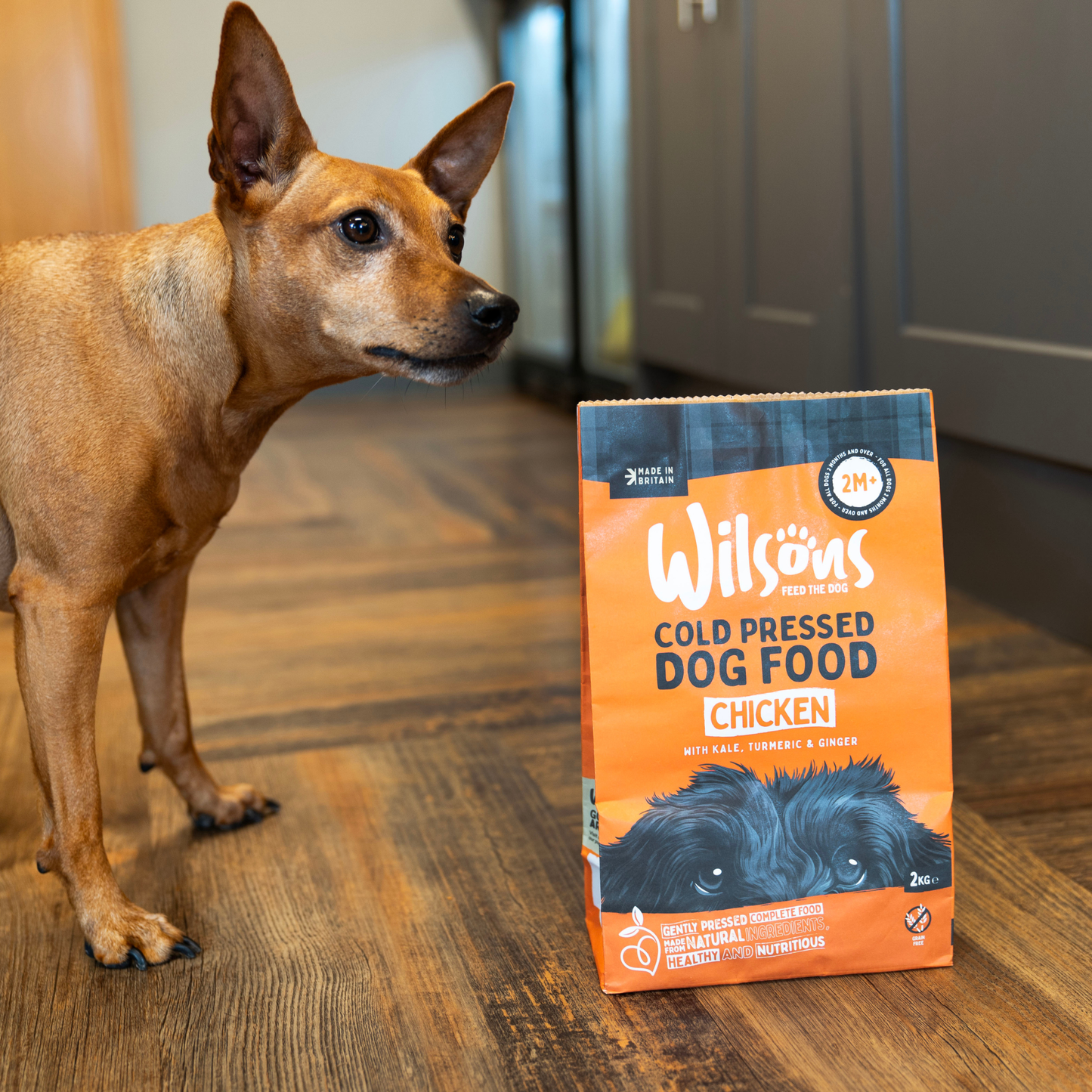 Chicken Premium British Cold Pressed Dog Food