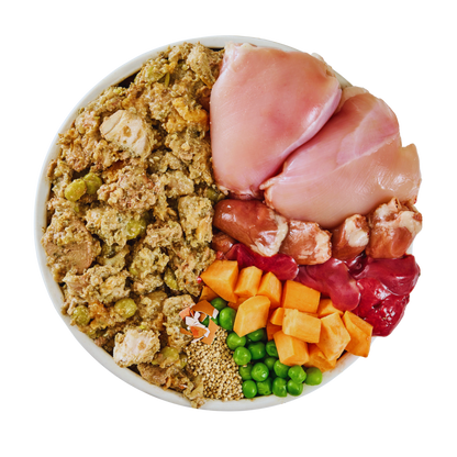 Chicken Fresh Dog Food