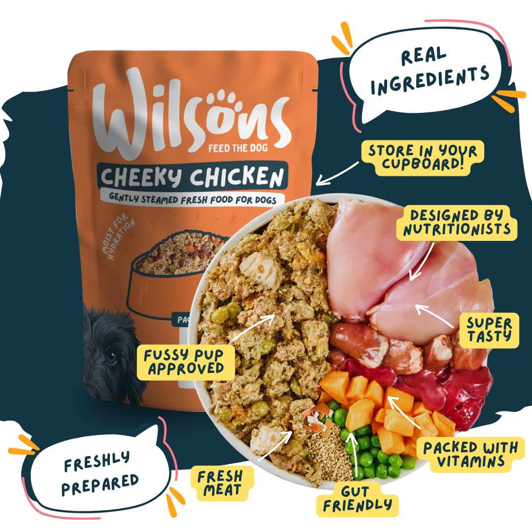 Wilsons Cheeky Chicken dog food package with ingredients displayed and promotional text - real ingredients and freshly prepared