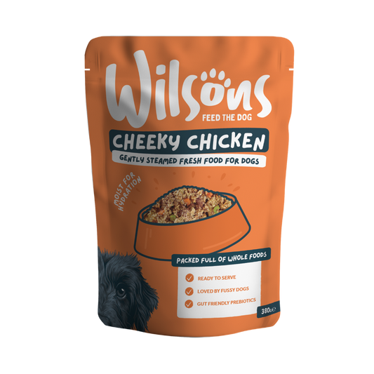 Orange package of Wilsons Cheeky Chicken dog food on a white background