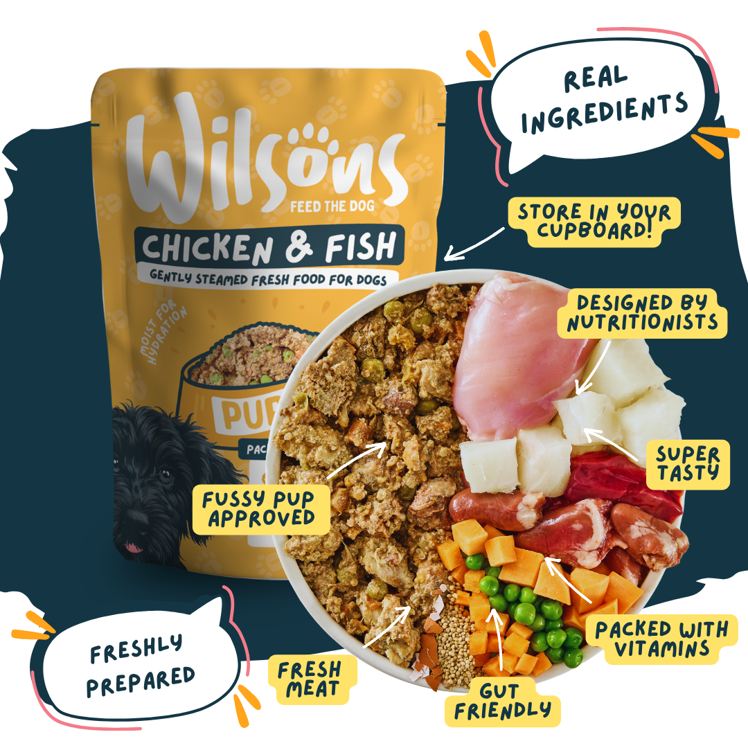 Wilsons Chicken & Fish dog food package with ingredients and benefits displayed - real ingredients and freshly prepared