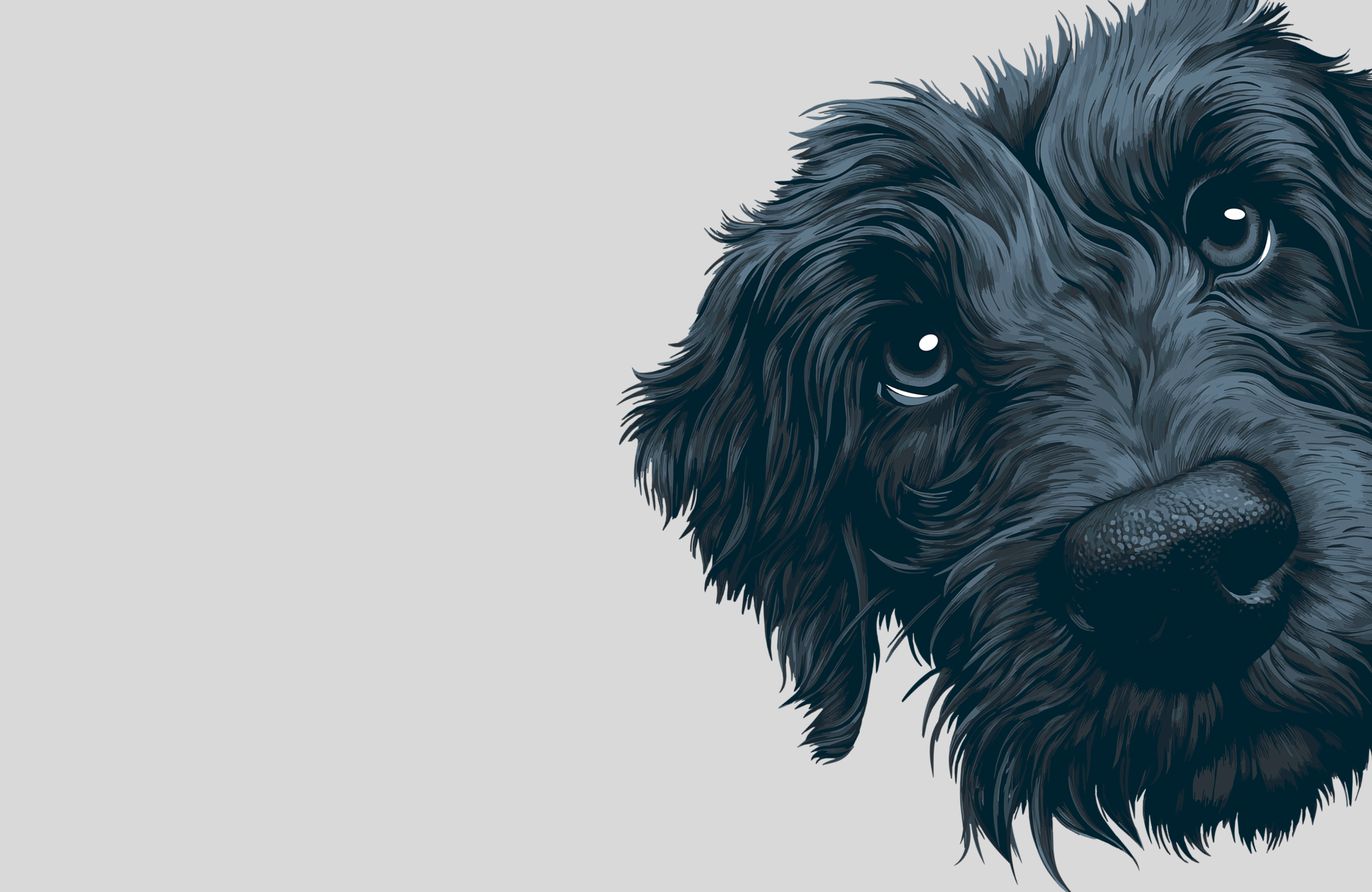 Close-up illustration of a black dog's face on a light gray background