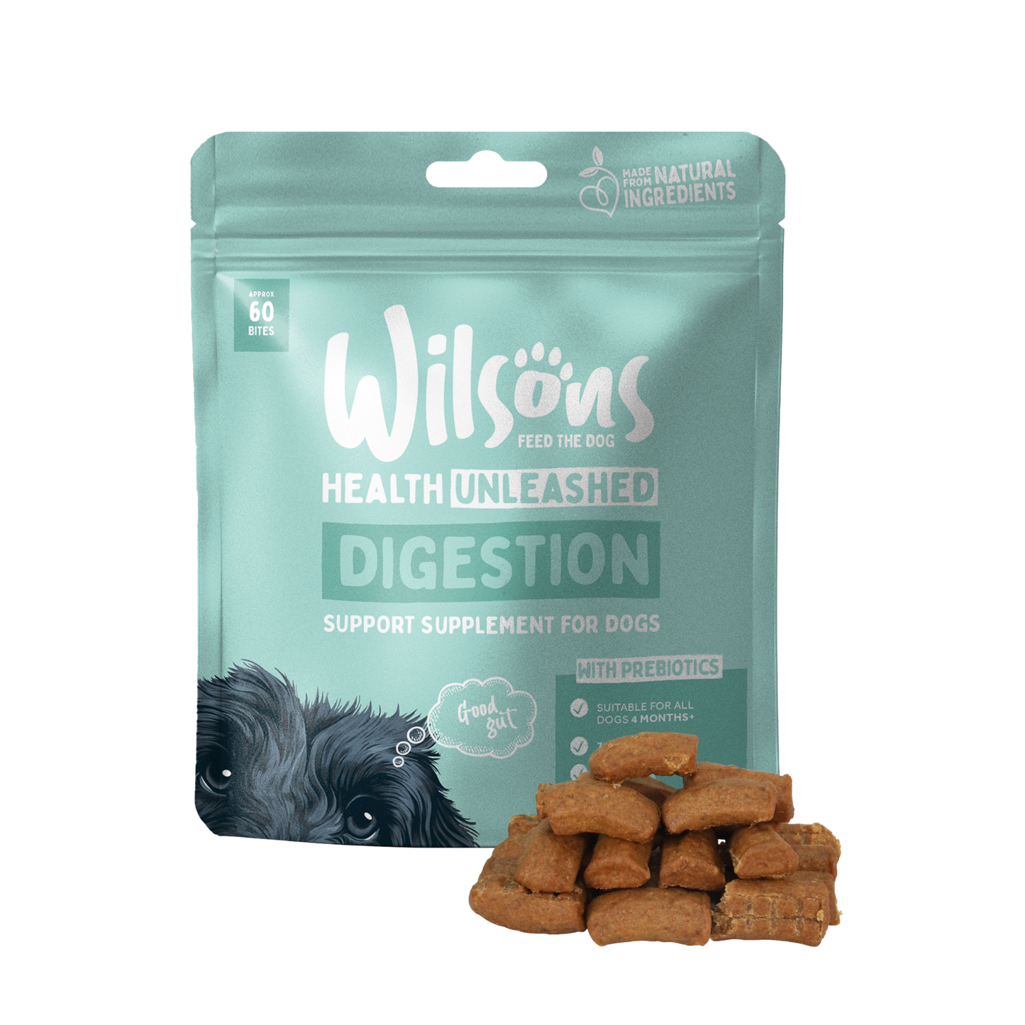 Digestion Support Supplement for Dogs
