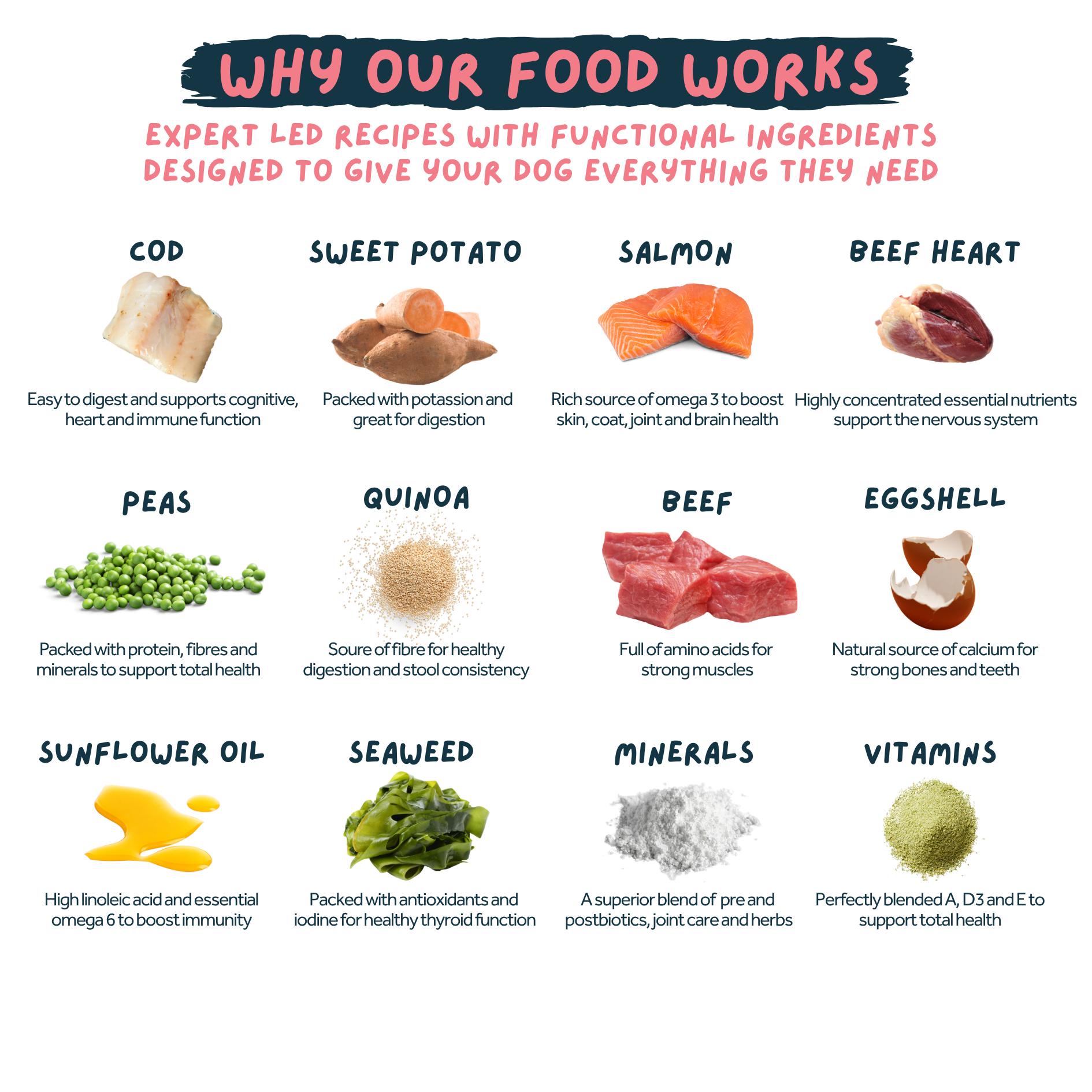Diagram of functional ingredients in dog food with text explaining their benefits.