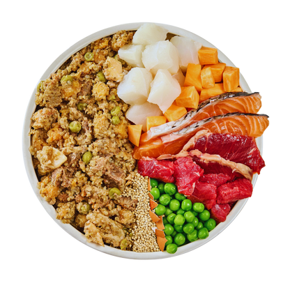 Fish and Beef Fresh Dog Food