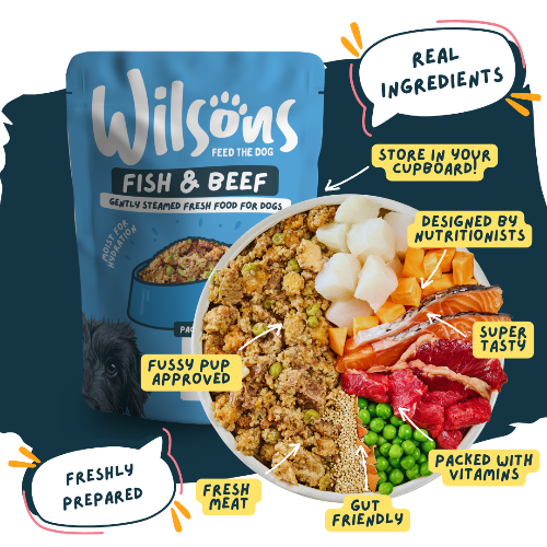 Wilsons Fish & Beef dog food package with ingredients and benefits displayed - real ingredients and freshly prepared
