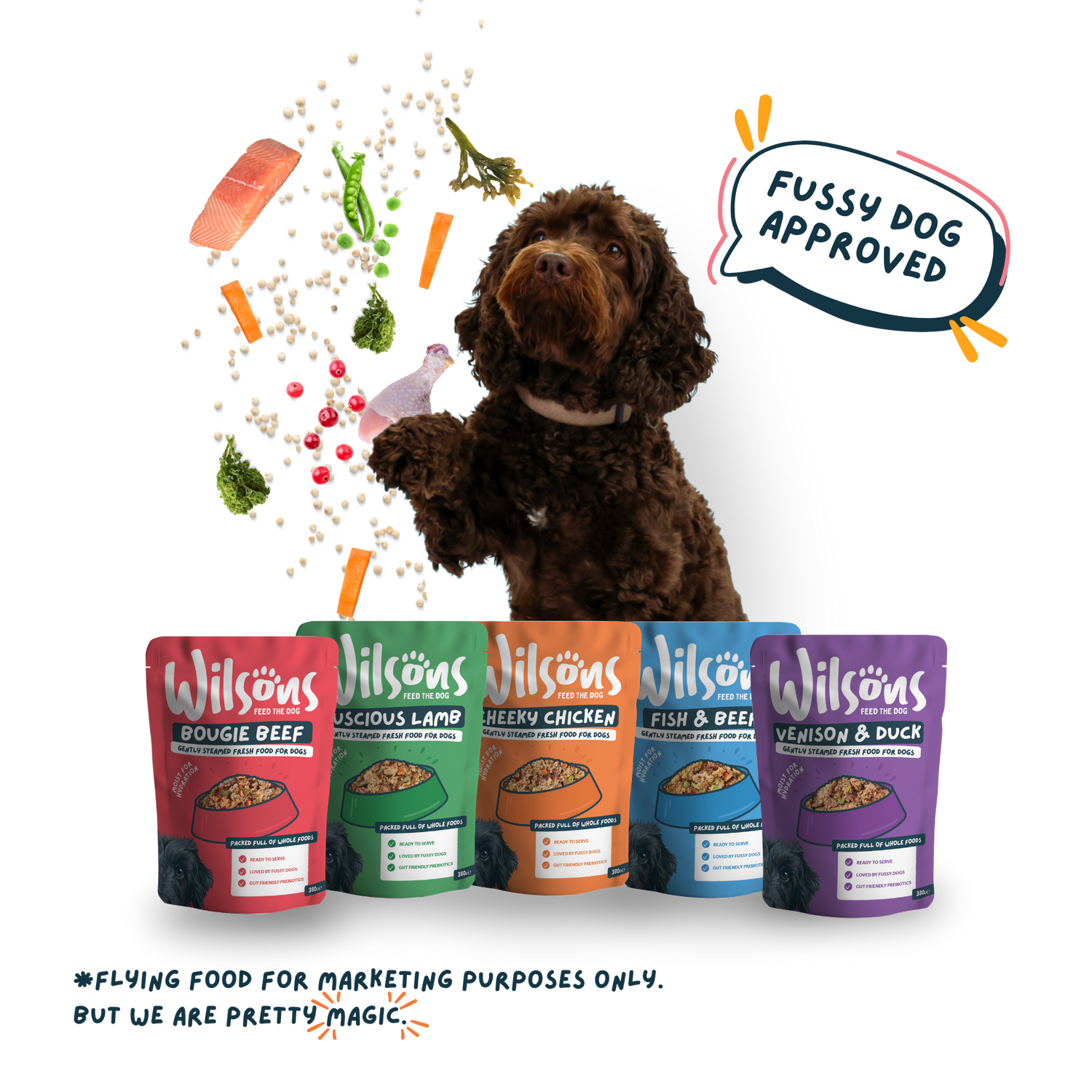 Dog with Wilson's Pet Food packages and text 'Fussy Dog Approved' on a white background