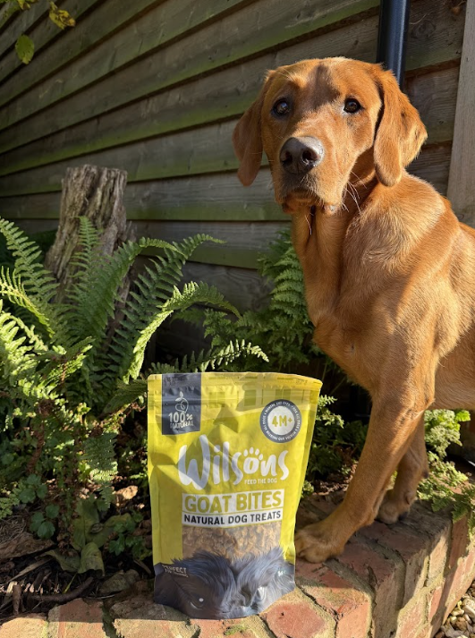 Wilsons Goat Bites Treats For Dogs Guilt-Free Dog Treats