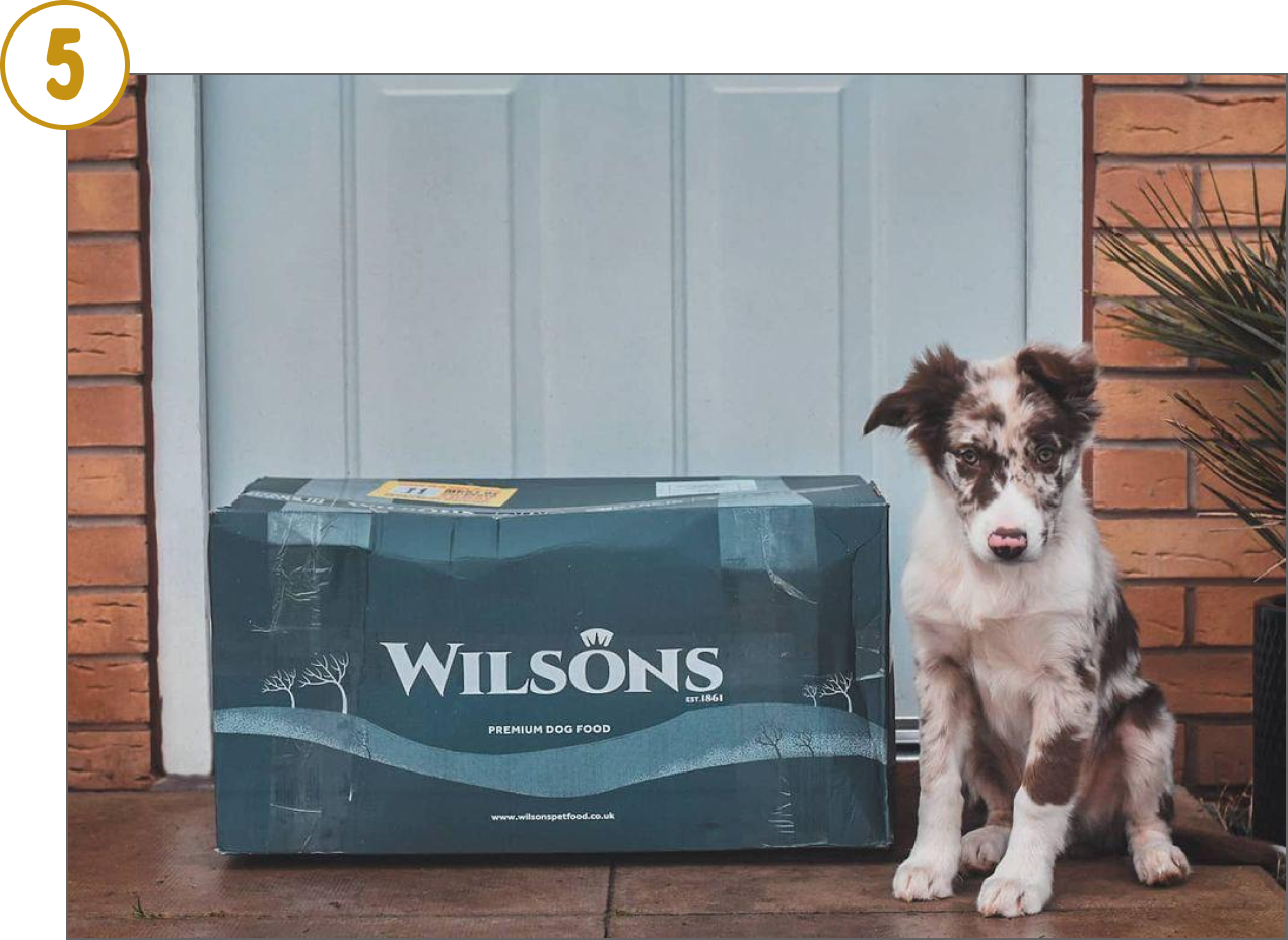Subscription Wilsons Pet Food