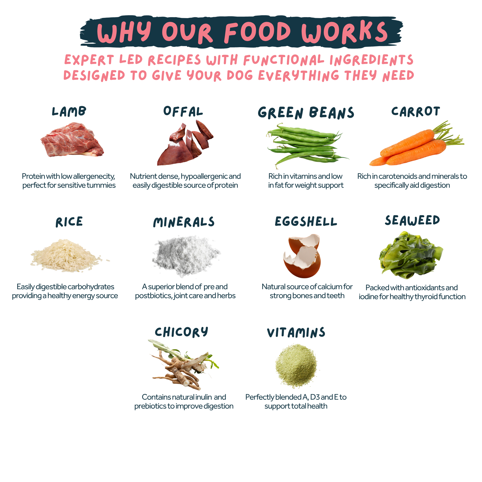 An infographic titled 'WHY OUR FOOD WORKS' showing different dog food ingredients with pictures and descriptions: Lamb, Offal, Green Beans, Carrot, Rice, Minerals, Eggshell, Seafood, Chicory, and Vitamins, on a white background.
