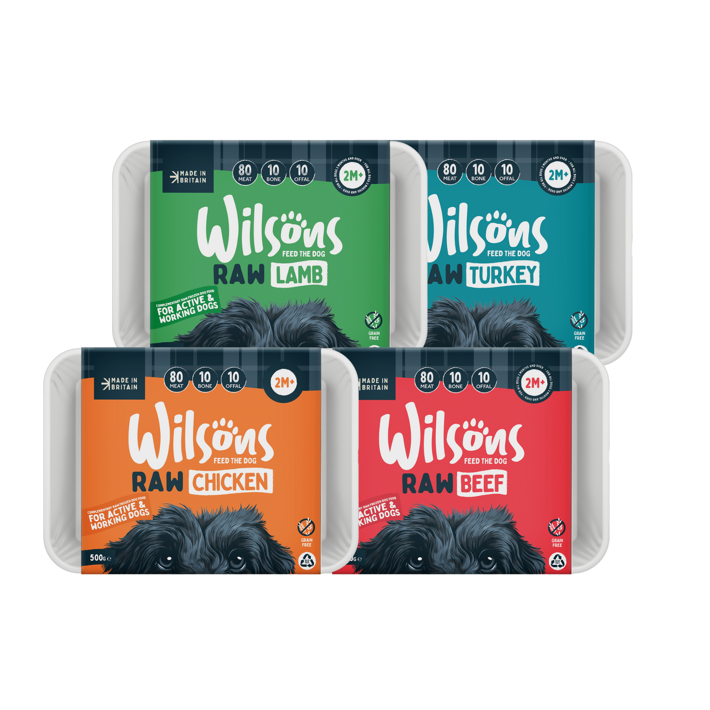 Raw Frozen Dog Food Trial Box
