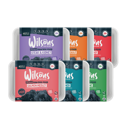 Raw Frozen Dog Food Trial Box