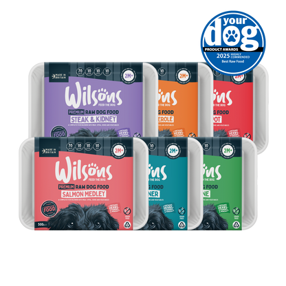 Raw Frozen Dog Food Trial Box