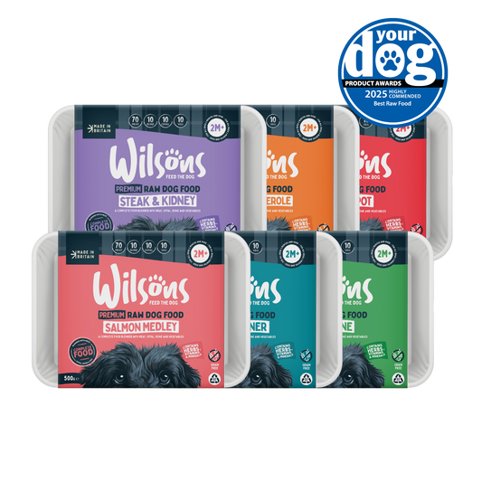 Raw Frozen Dog Food Trial Box