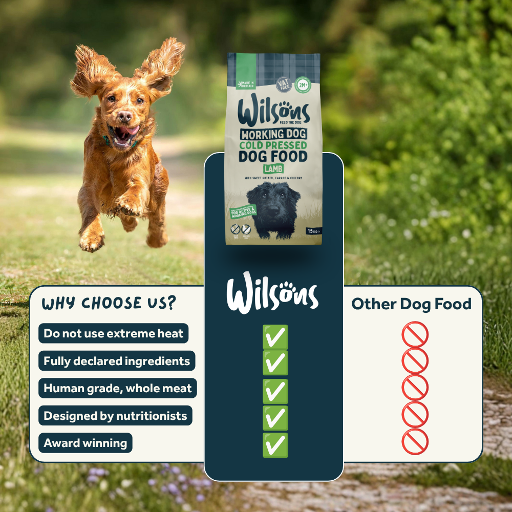Lamb Cold Pressed Working Dog Food