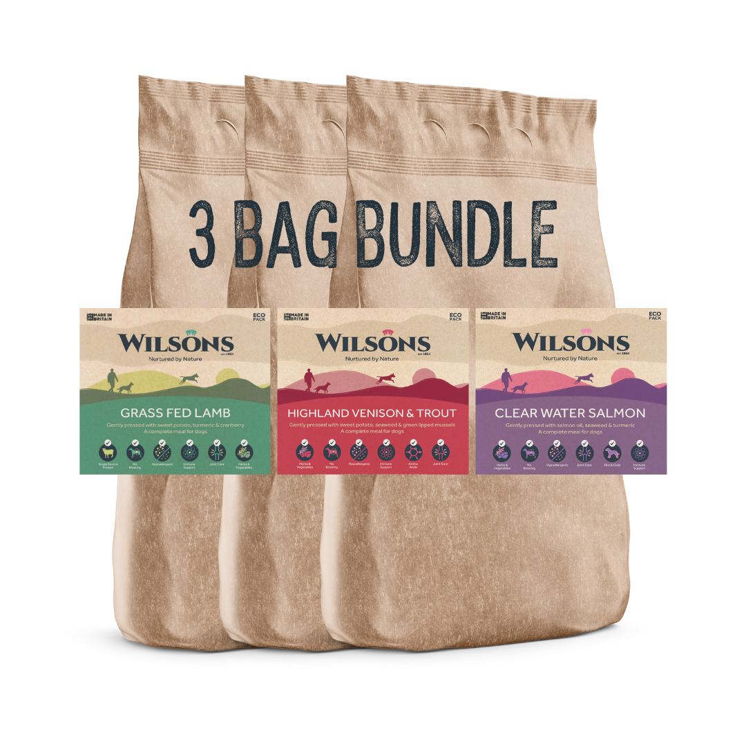 Lamb, Venison & Trout and Salmon Premium Cold Pressed Dog Food Made