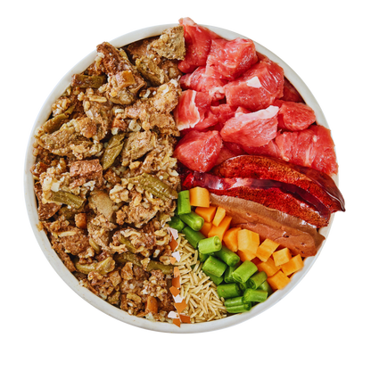 Lamb and Rice Fresh Dog Food