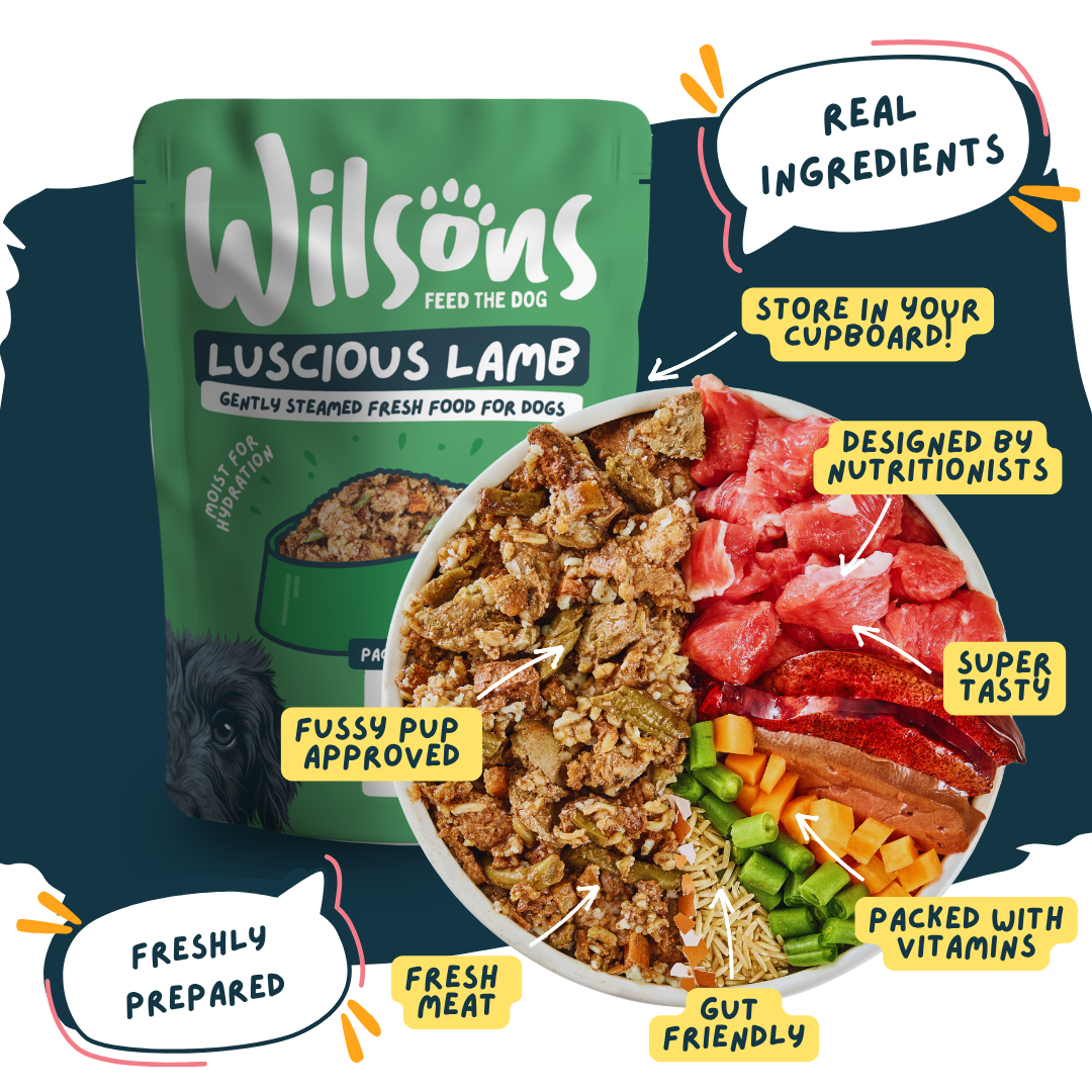Wilsons Luscious Lamb dog food package with a bowl of food and text highlighting features - real ingredients and freshly prepared