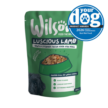 Green package of Wilson's Luscious Lamb dog food with a blue award badge 2026 highly commended best wet food