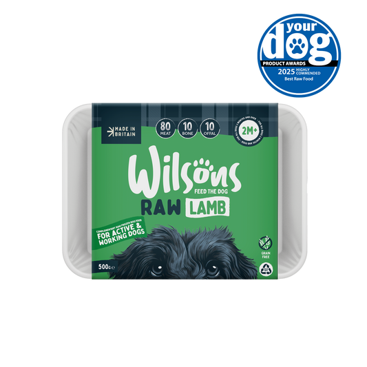 80 10 10 dog food online