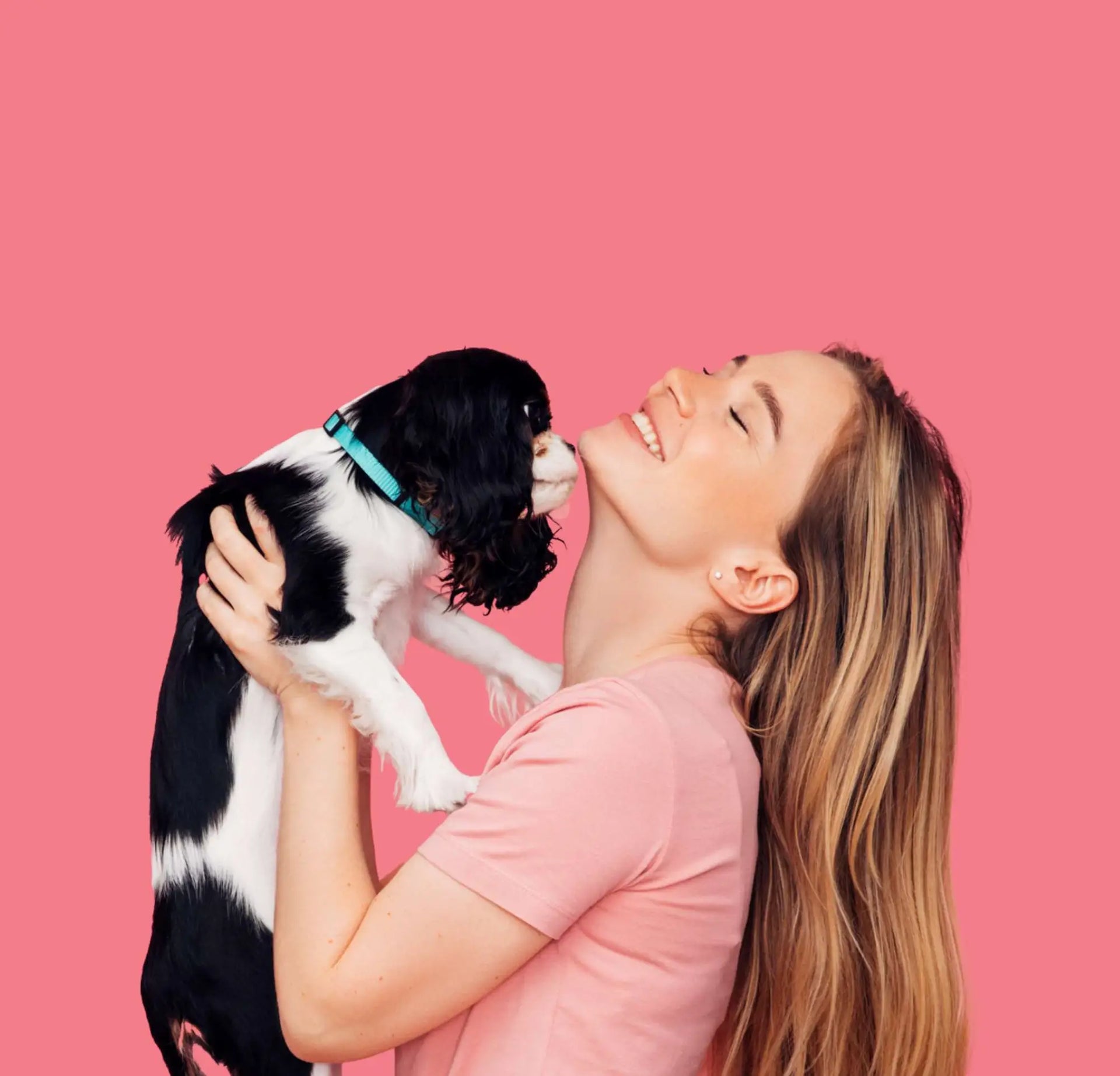 Woman holding a small black and white dog against a pink background
