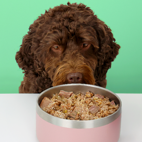 Venison and Duck Fresh Dog Food