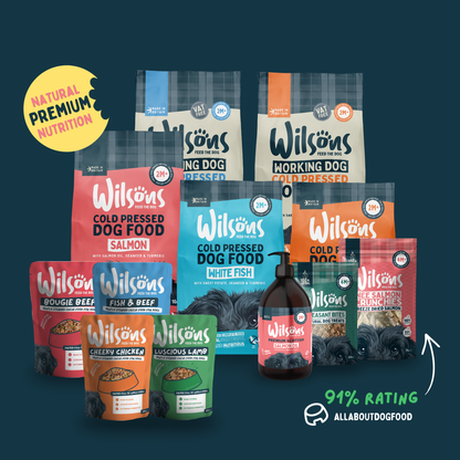 Mixed Bundle Fresh Dog Food