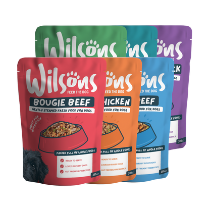 Wilsons fresh mixed bundle dog food packages in various flavors on a white background