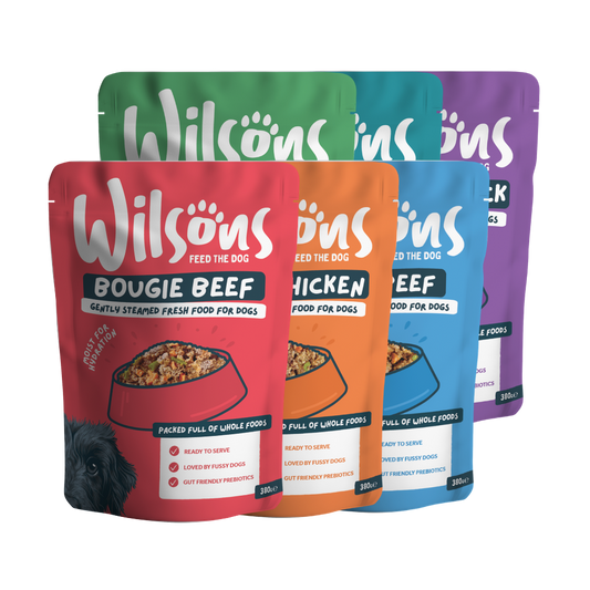Wilsons fresh mixed bundle dog food packages in various flavors on a white background
