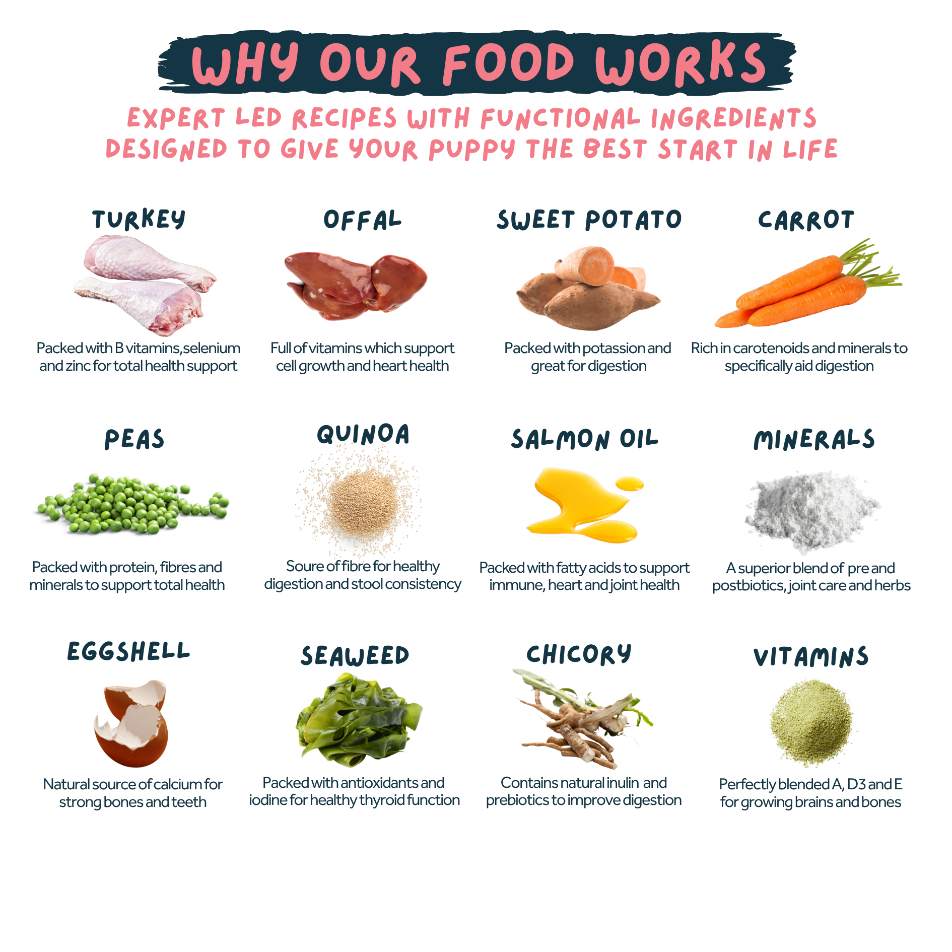 List of functional ingredients for a puppy's diet with corresponding images and descriptions.