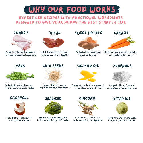 Chart detailing functional ingredients in a Turkey Fresh puppy food product with images and descriptions.
