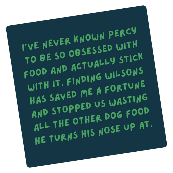Text on a dark blue background with green text