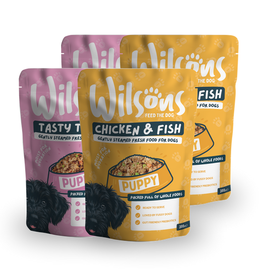 Three packages of Wilsons fresh dog food with different flavors
