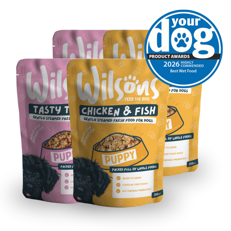 Wilsons Bundle of Fresh Dog Food for Puppies | This Is Fresh