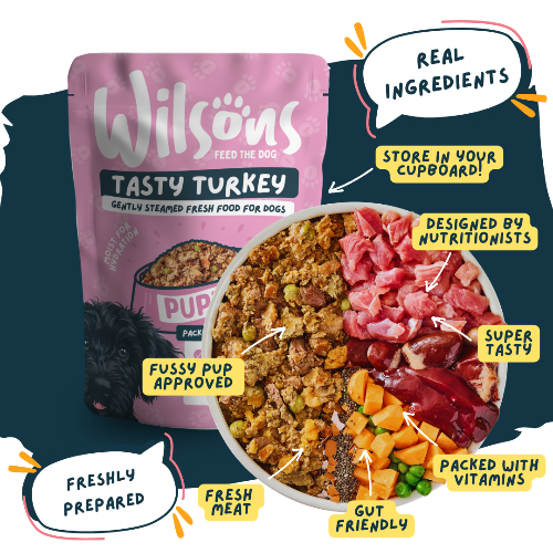 Wilsons Tasty Turkey dog food package with ingredients and benefits displayed - real ingredients and freshly prepared