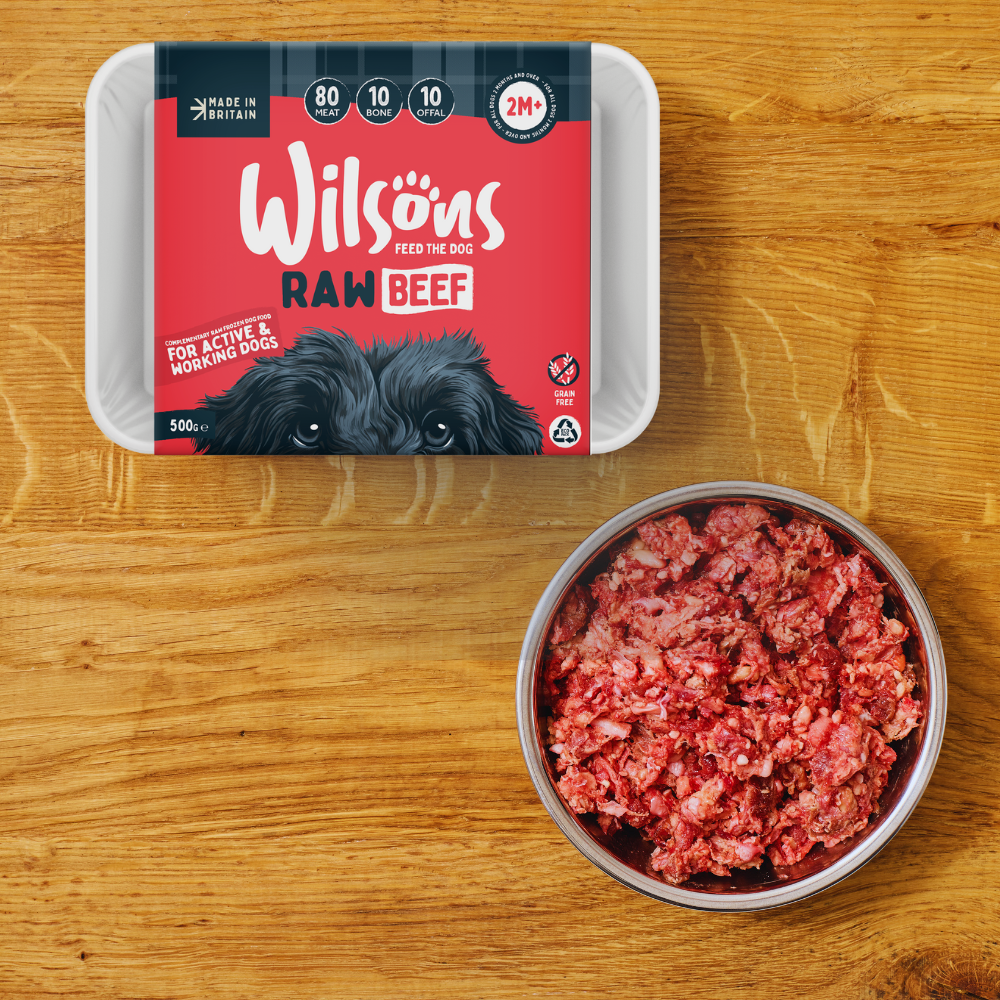 Feeding dog frozen meat clearance