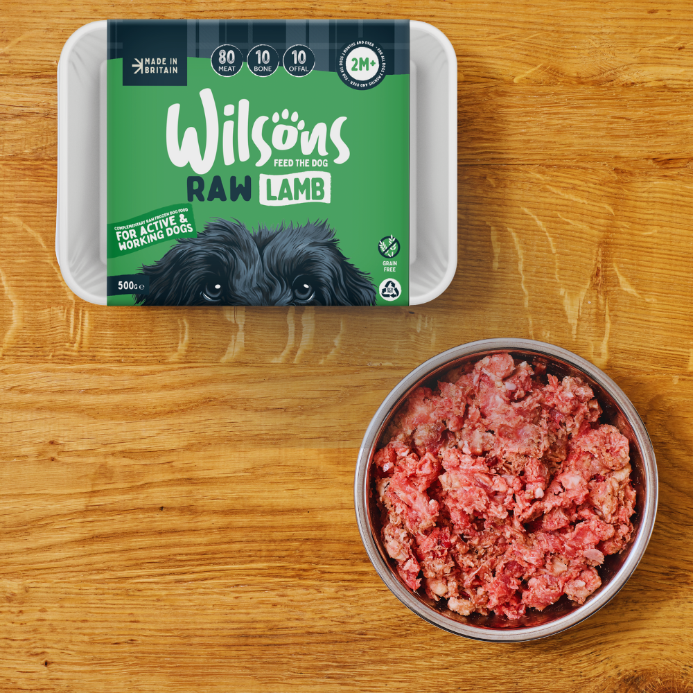 Cheap raw meat for dogs online