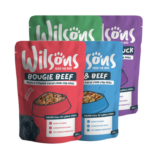 Red Meat bundle of Wilsons Fresh dog food on a white background