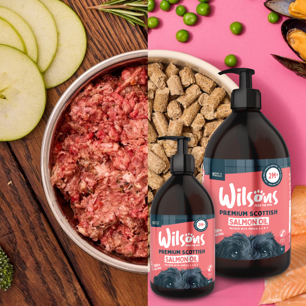 Premium Scottish Salmon Oil