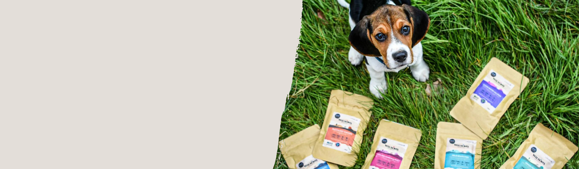 Wilsons Pet Food British Cold Pressed and Raw Dog Food