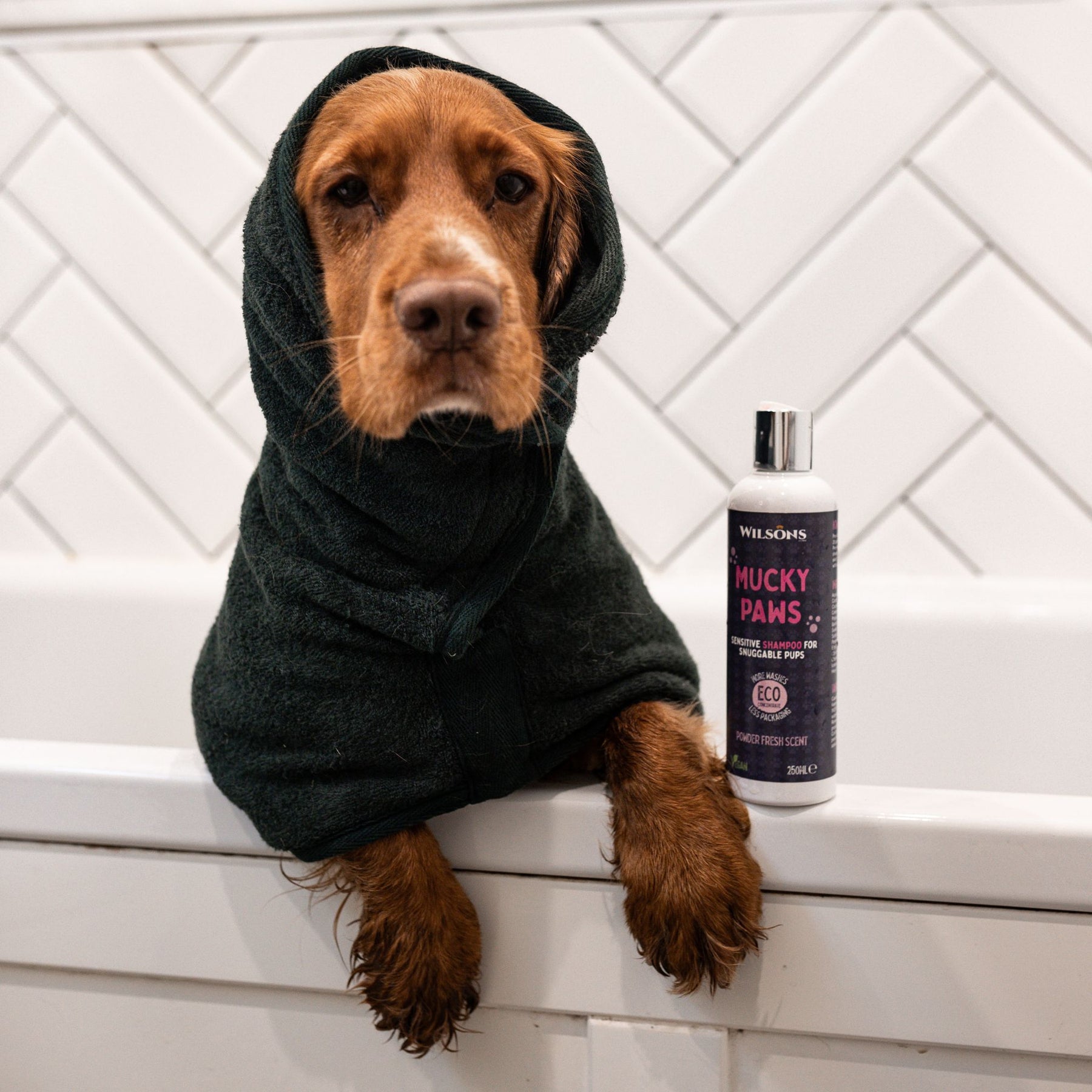 Mucky Paws Premium Dog Shampoo Wilsons Pet Food