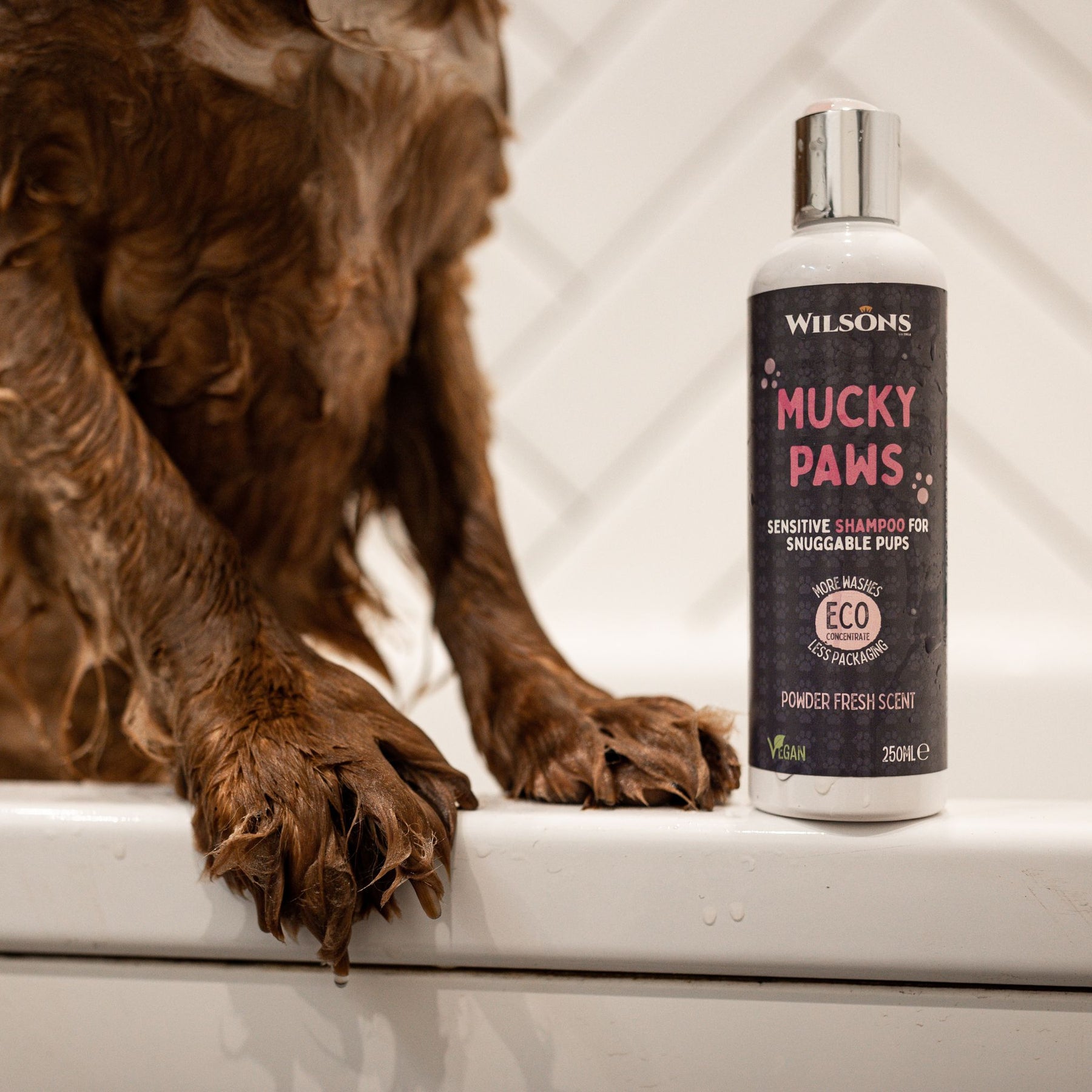 Mucky Paws Premium Dog Shampoo Wilsons Pet Food