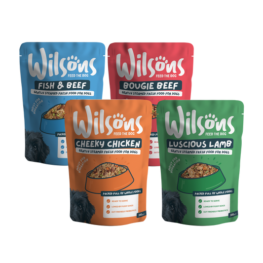 Mixed Bundle Fresh Dog Food
