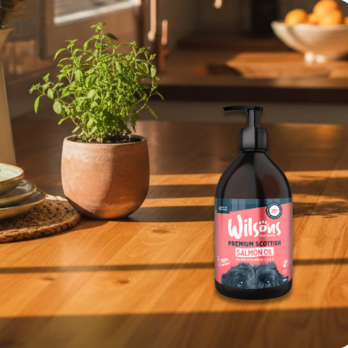 Bottle of Wilsons Premium Scottish Salmon Oil on a wooden surface with a plant in the background