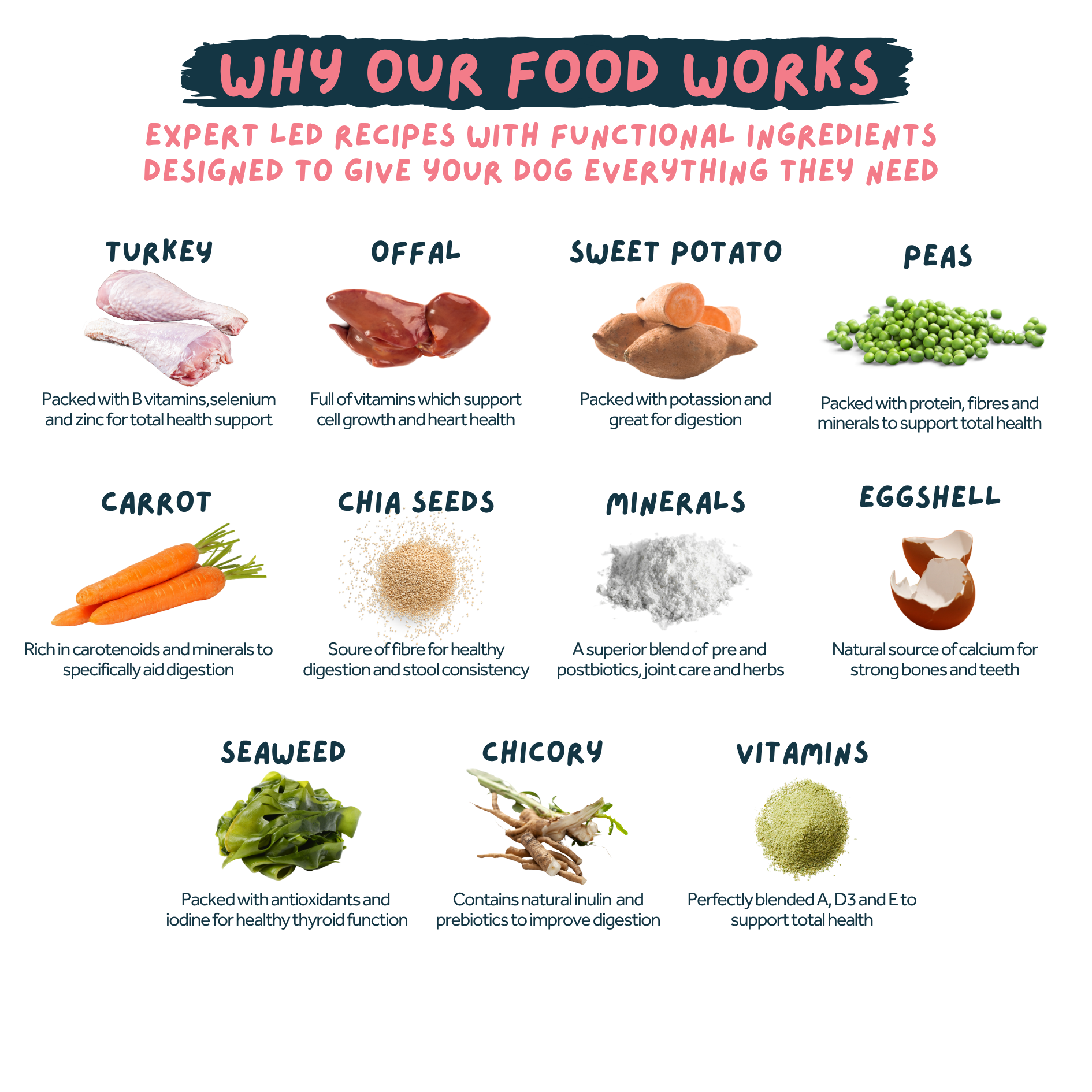 An infographic titled 'WHY OUR FOOD WORKS' showing various dog food ingredients with photos, names, and descriptions on a white background. Ingredients include Turkey, Offal, Sweet Potato, Peas, Carrot, Chia Seeds, Minerals, Eggshell, Seaweed, Chicory, and Vitamins.