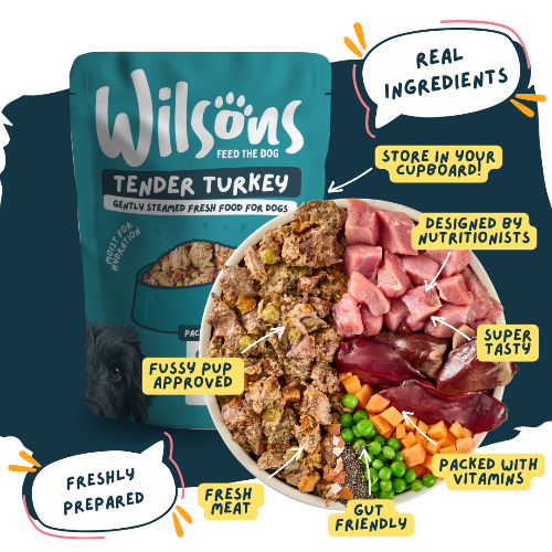 Wilsons dog food package with text highlighting features on a blue background, real ingredients and freshly prepared