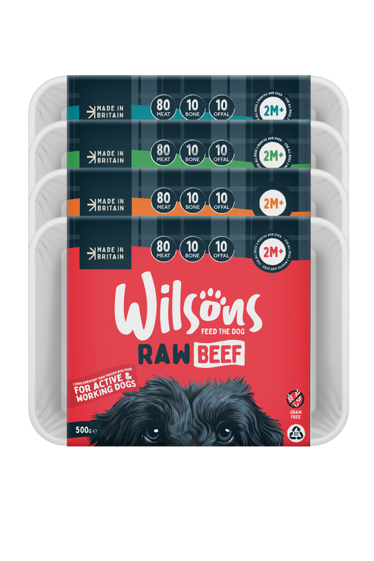 Grain free raw dog food sales
