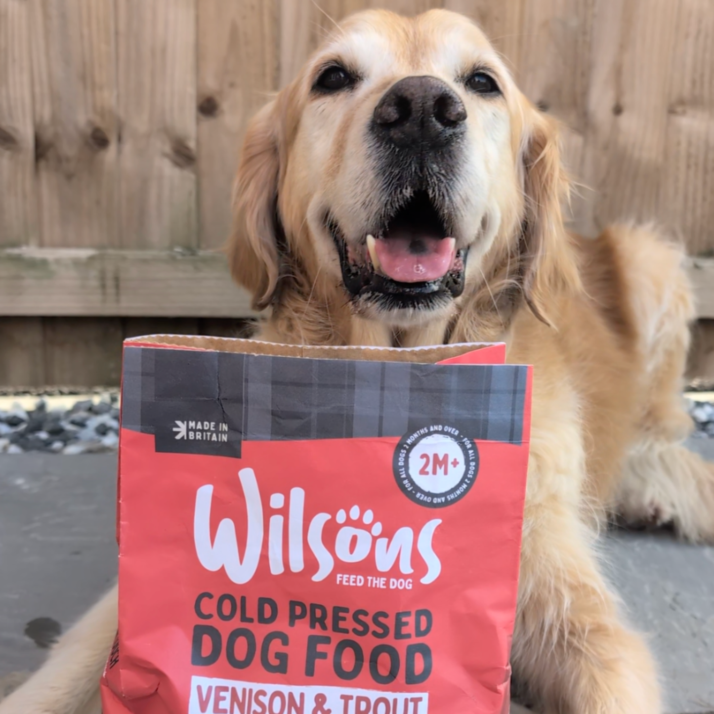 Venison & Trout Premium British Cold Pressed Dog Food